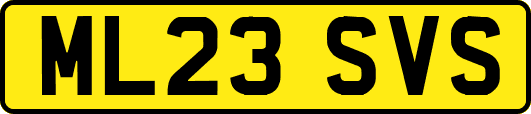 ML23SVS