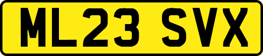 ML23SVX