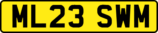 ML23SWM