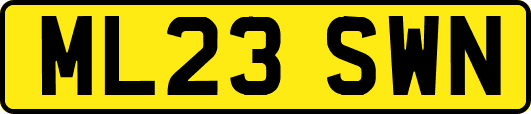 ML23SWN
