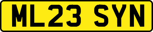 ML23SYN