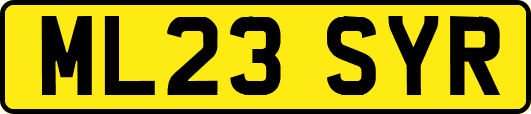 ML23SYR