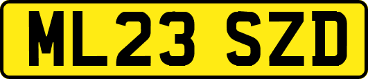 ML23SZD