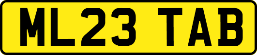 ML23TAB