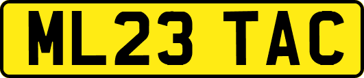 ML23TAC