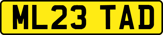 ML23TAD