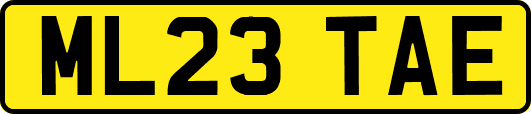 ML23TAE