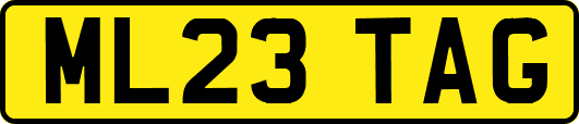 ML23TAG