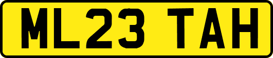 ML23TAH