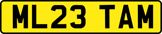 ML23TAM