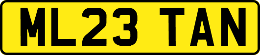 ML23TAN