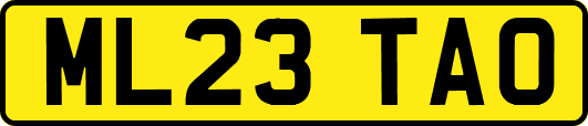 ML23TAO
