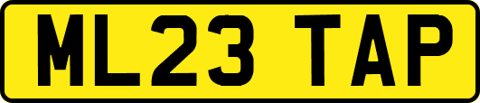 ML23TAP