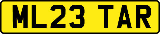 ML23TAR