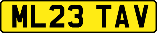 ML23TAV