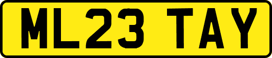 ML23TAY