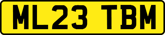 ML23TBM