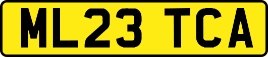 ML23TCA