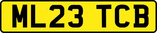 ML23TCB