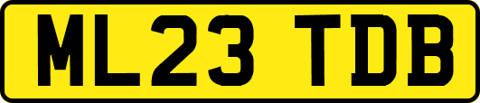 ML23TDB