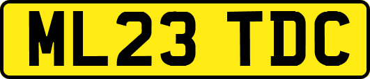 ML23TDC