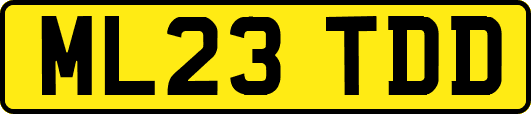 ML23TDD