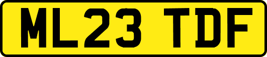 ML23TDF