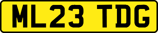 ML23TDG