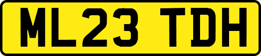 ML23TDH
