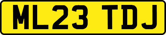 ML23TDJ