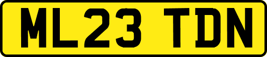 ML23TDN