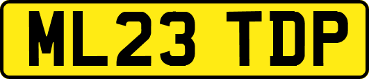 ML23TDP