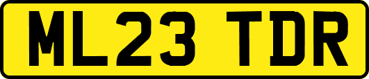 ML23TDR