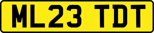 ML23TDT