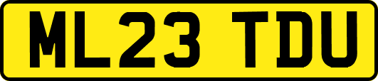 ML23TDU