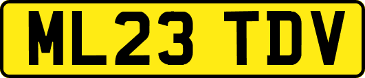 ML23TDV