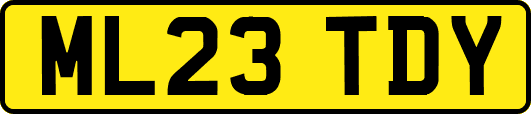ML23TDY