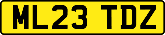 ML23TDZ