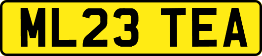 ML23TEA