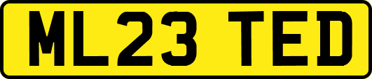 ML23TED