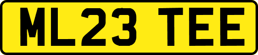 ML23TEE