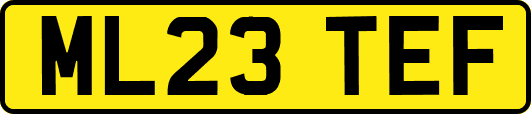 ML23TEF