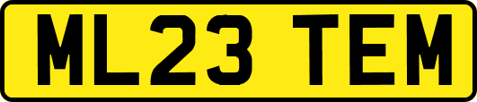 ML23TEM