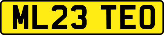 ML23TEO