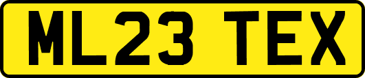 ML23TEX