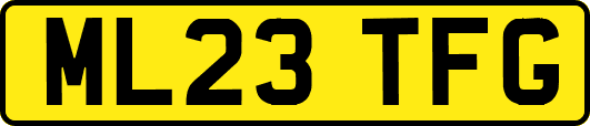 ML23TFG