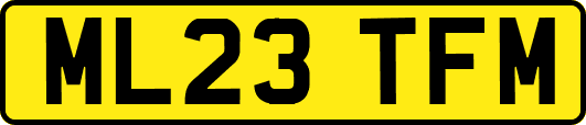 ML23TFM