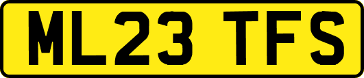 ML23TFS