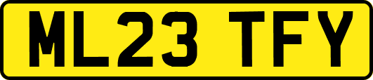 ML23TFY