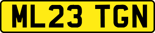 ML23TGN